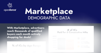 Marketplace Demographics_TN