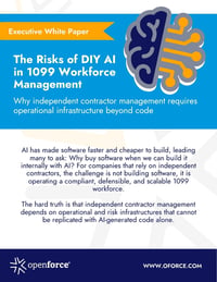 Risk of DIY AI - TN
