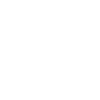 White Dollar Icon